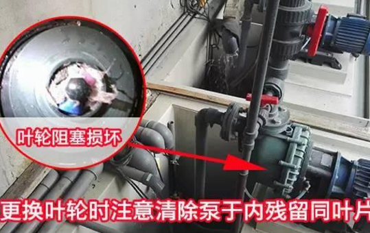传统泵